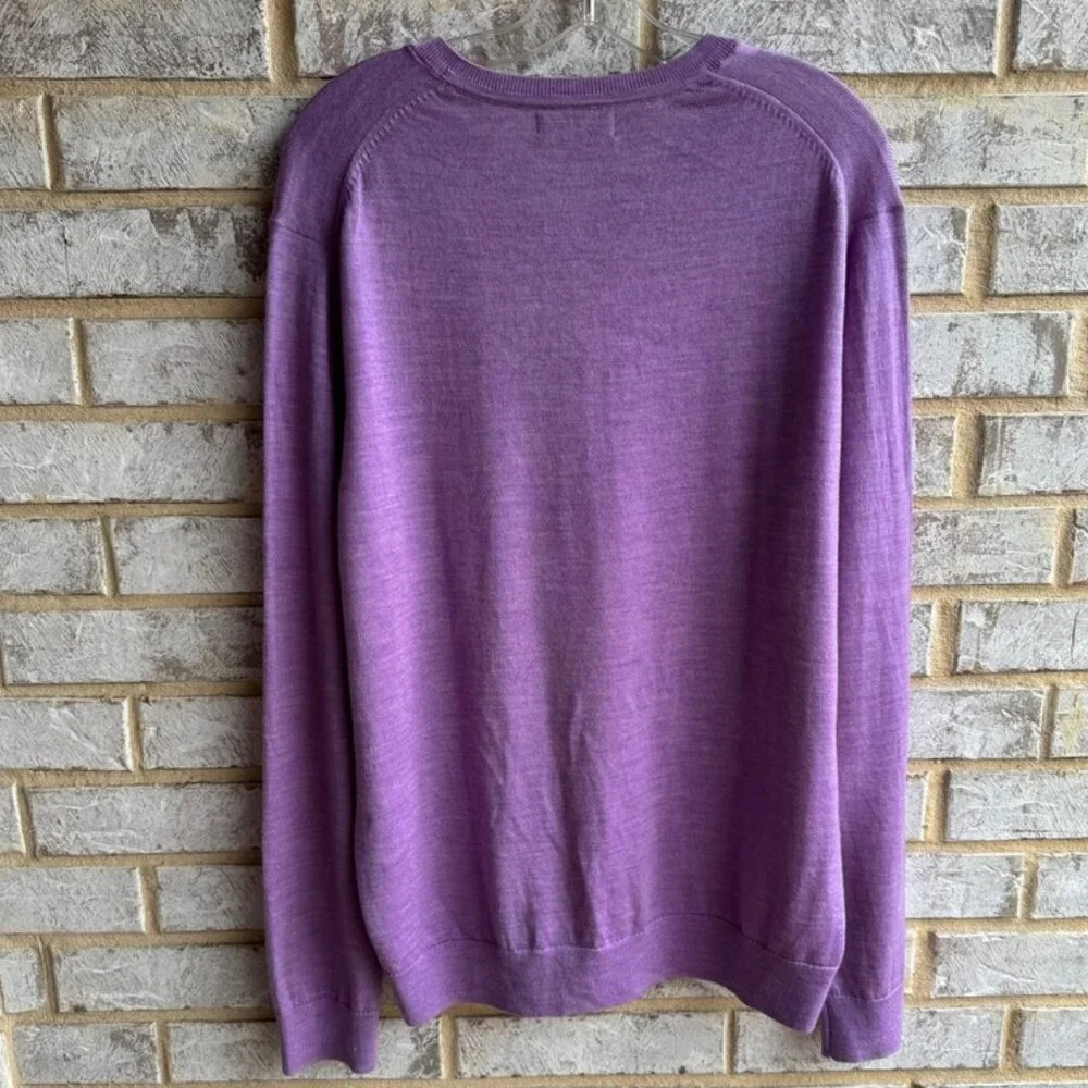 Banana Republic Men's V-Neck Sweater in Lavender Purple